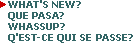 What's New? Que Pasa? Whassup? Quest-ce Qui Se Passe?